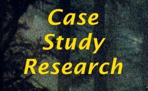 Qualitative research and case study applications in education